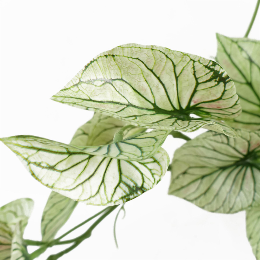 Leaf Trailing Variegated Alocasia Artificial Plant in Pot 30cm Image 2