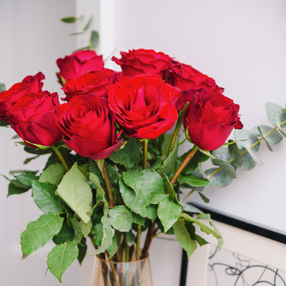 A Dozen Red Roses Flower Bouquet Image 3