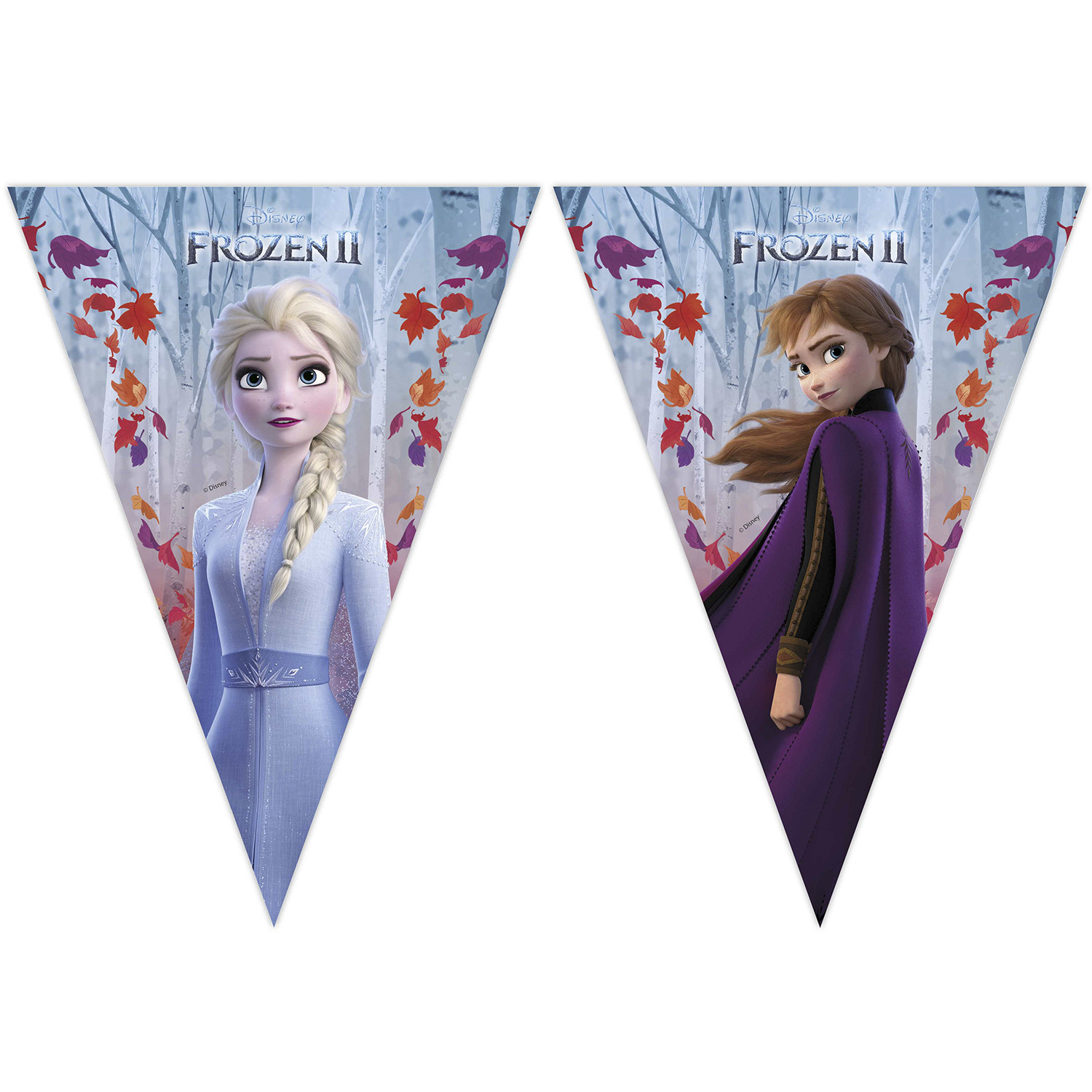 Disney Frozen II Triangle Flag Banner Image