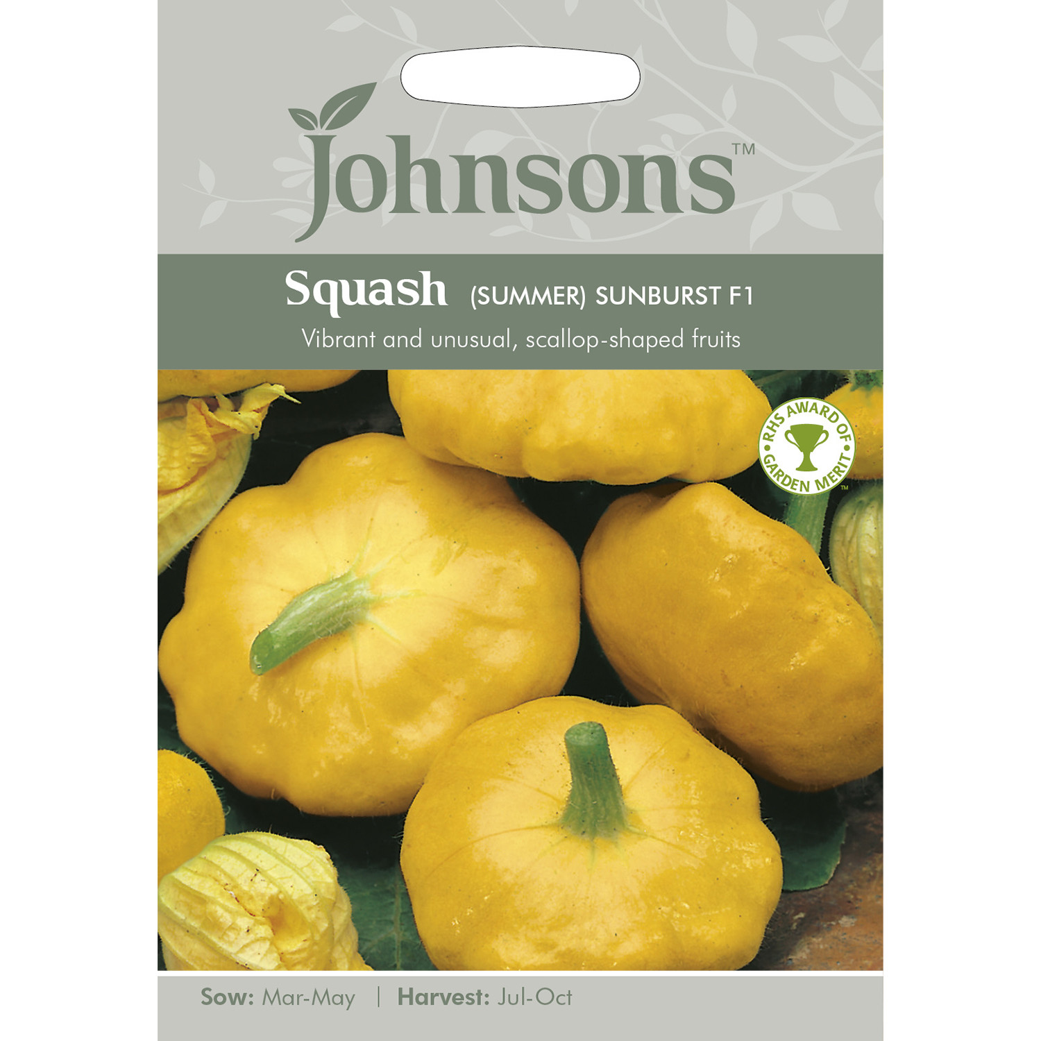 Johnsons Sunburst F1 Summer Squash Seeds Image 2
