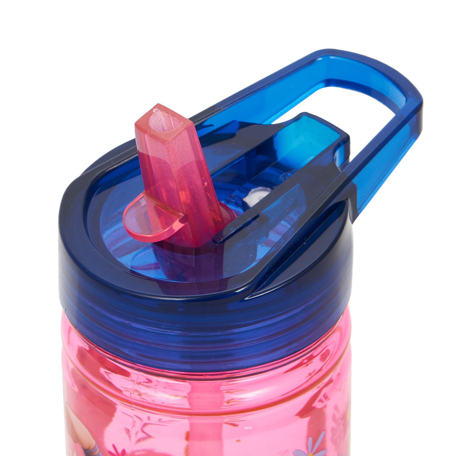 Encanto Water Bottle - Pink Image 4