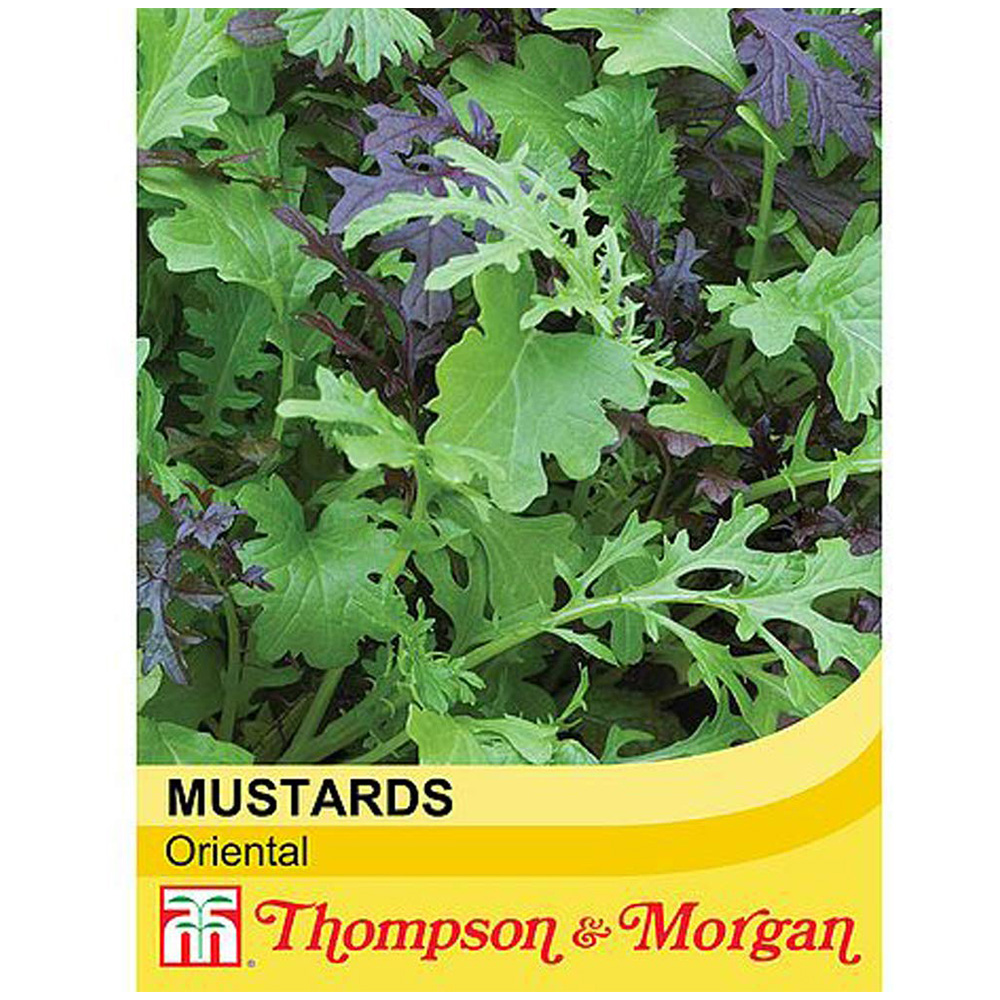 Thompson and Morgan Salad Leaves Oriental Mustard Seeds Image 3