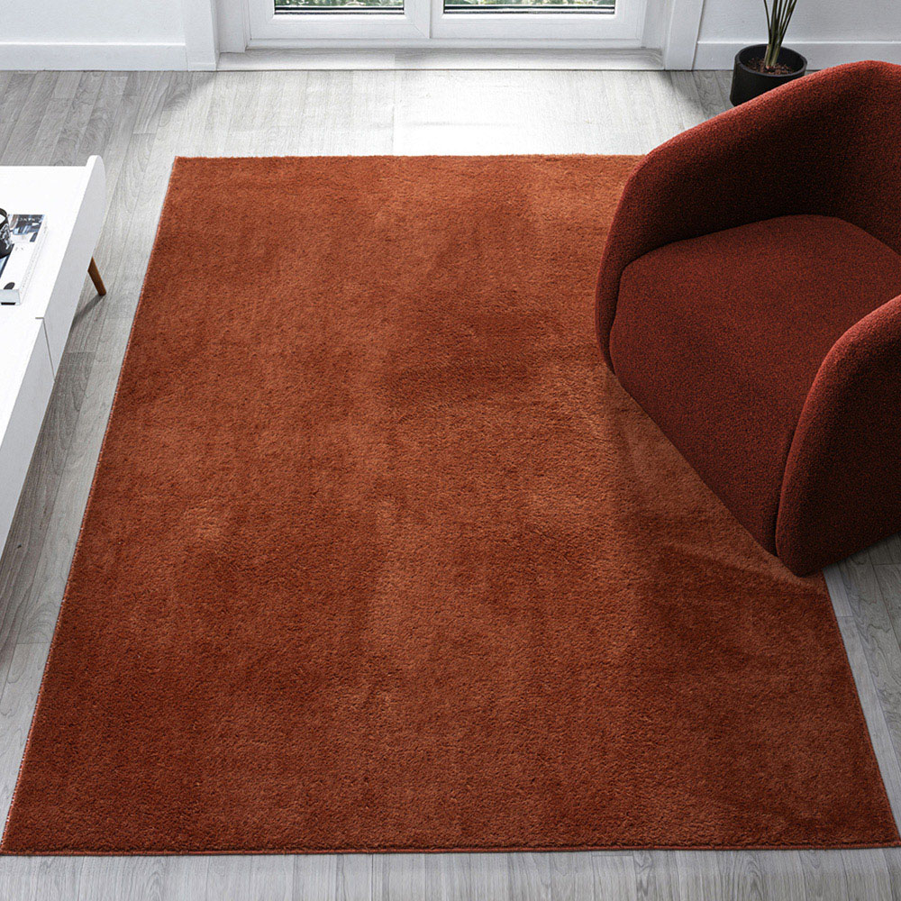 Desire Rugs Comfy Terracotta Anti Slip Felt Backing Rug 120 x 160cm Image 2
