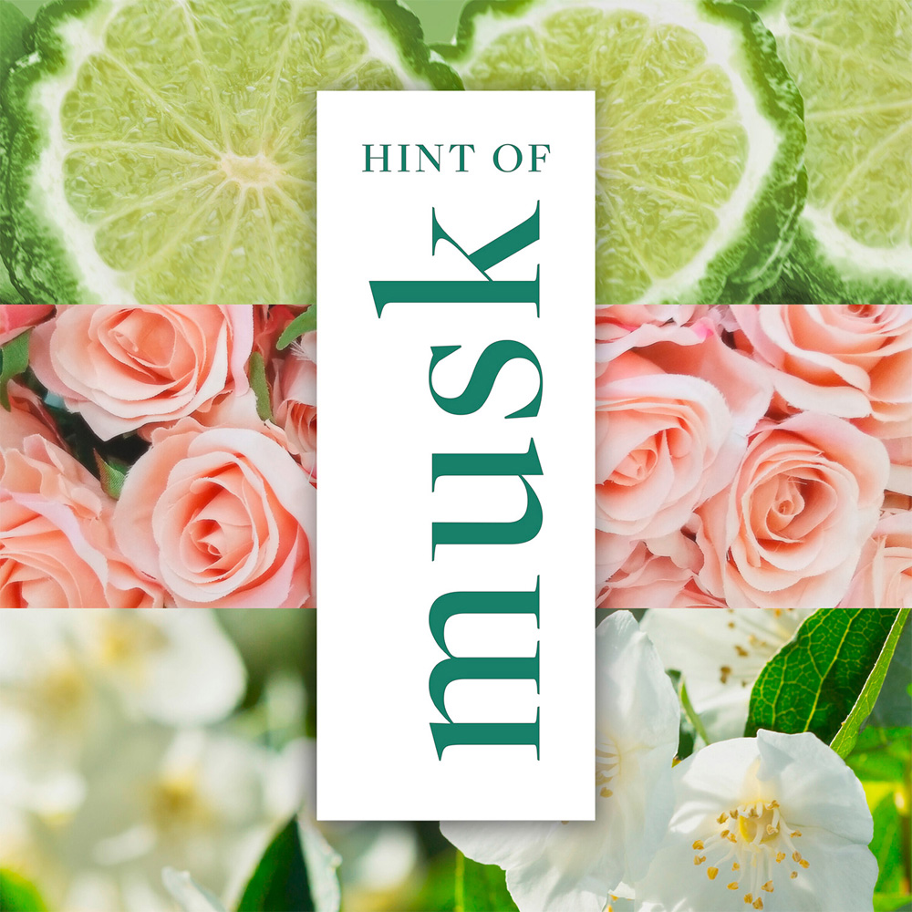 Impulse Hint of Musk Long Lasting Everyday Fragrance Body Spray Deodorant 75ml 6 Pack Image 6