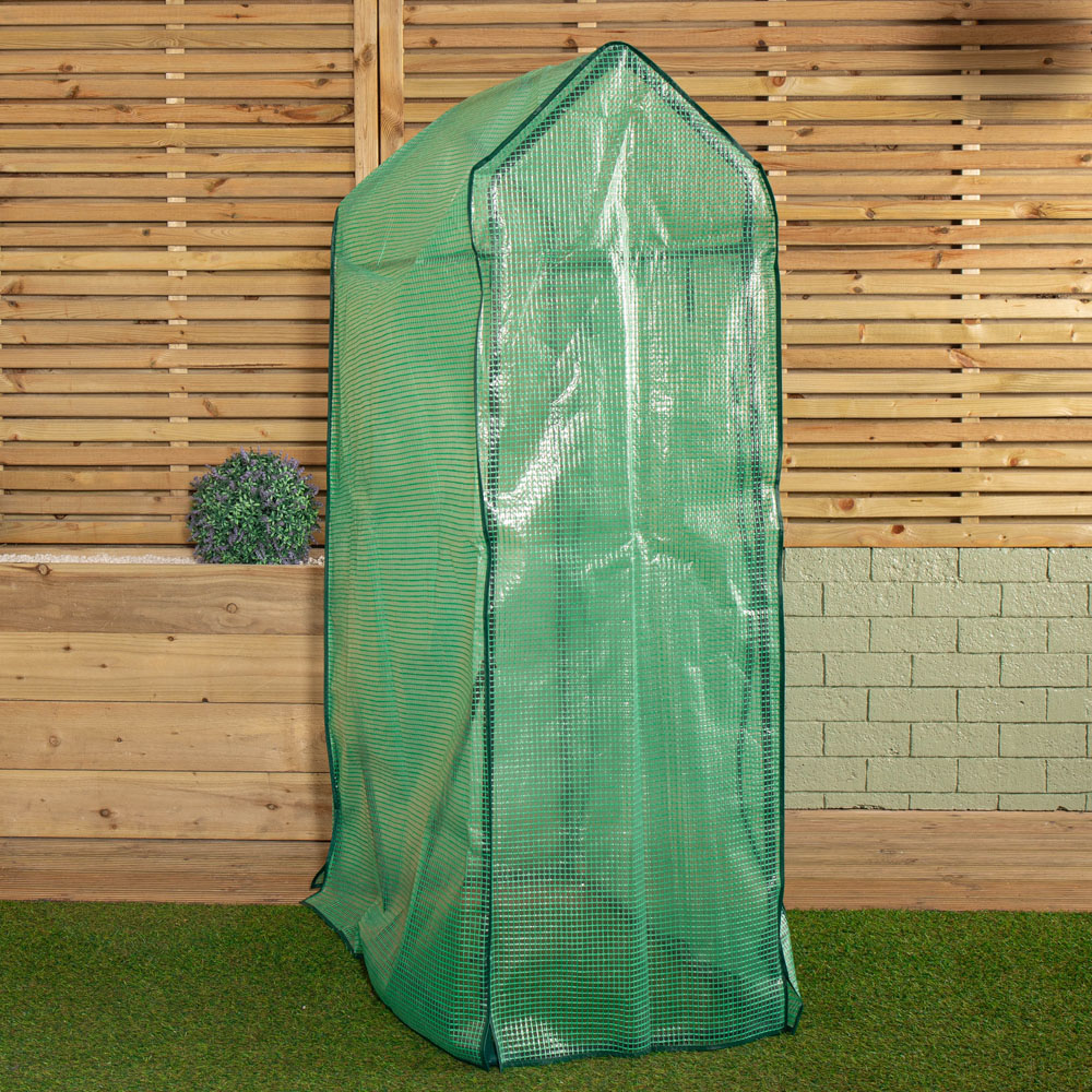 Samuel Alexander PE Cover 4.9 x 3.2ft Greenhouse Image 8