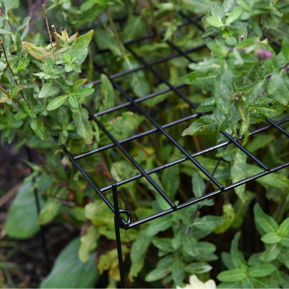 Garden Gear Rectangle Grow Through Grid Support 50cm 3 Pack Image 3