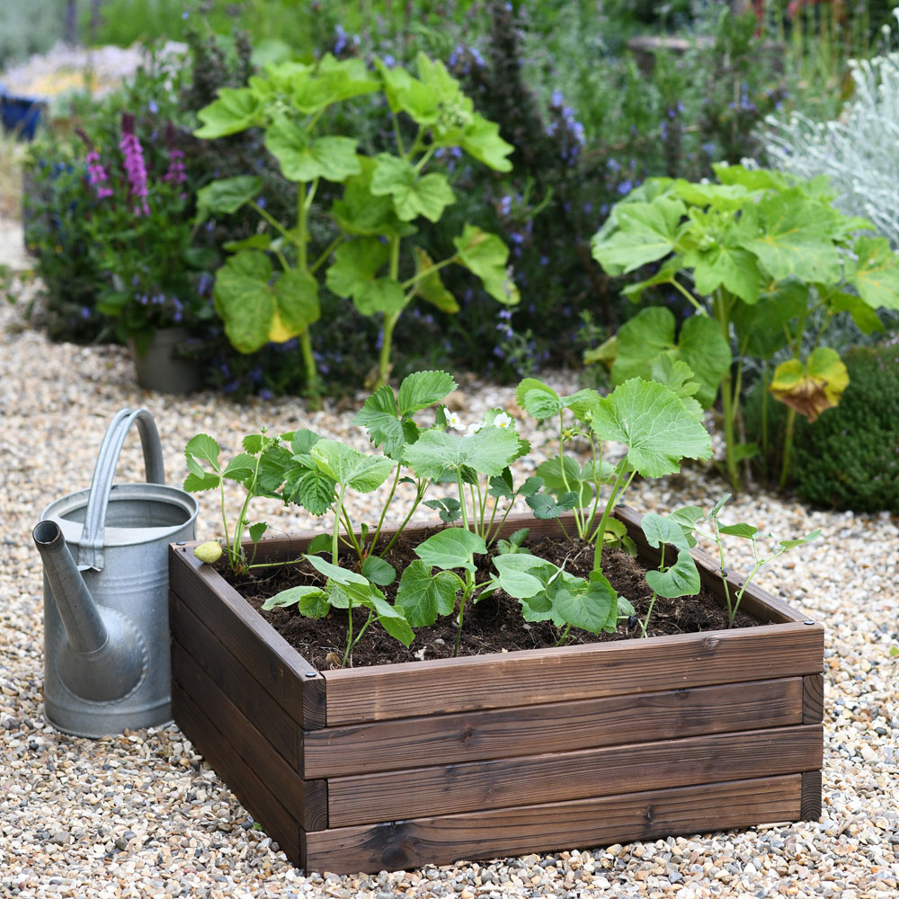 Garden Gear Wooden Raised Garden Bed 60 x 60cm Image 2