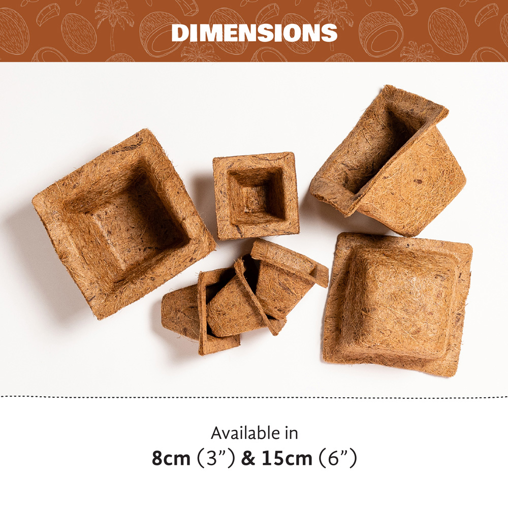 Coco & Coir Square Propagation Pot 8cm 24 Pack Image 4