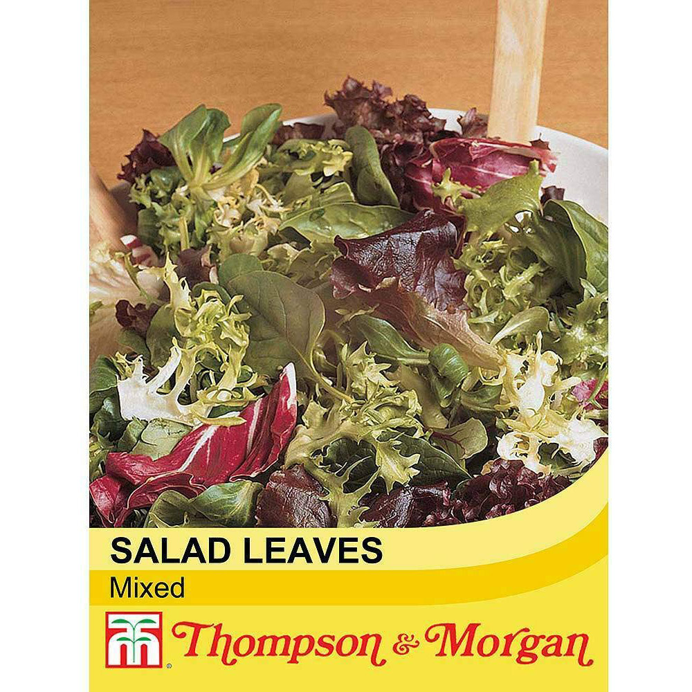 Thompson and Morgan Lettuce Leaves Mixed Seeds Image 2