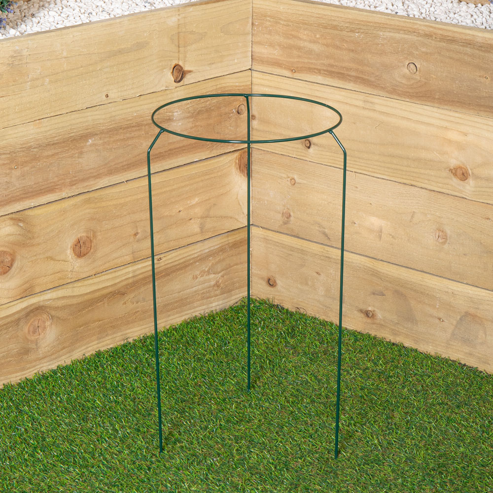 Samuel Alexander Urban Metal Herbaceous Plant Support Ring 30 x 50cm Image 2