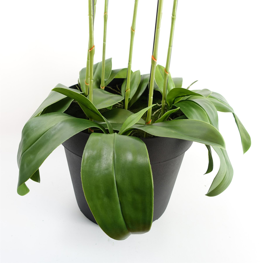 Botanik Large Pink Orchid Artificial Plant in Pot 3.6ft Image 4