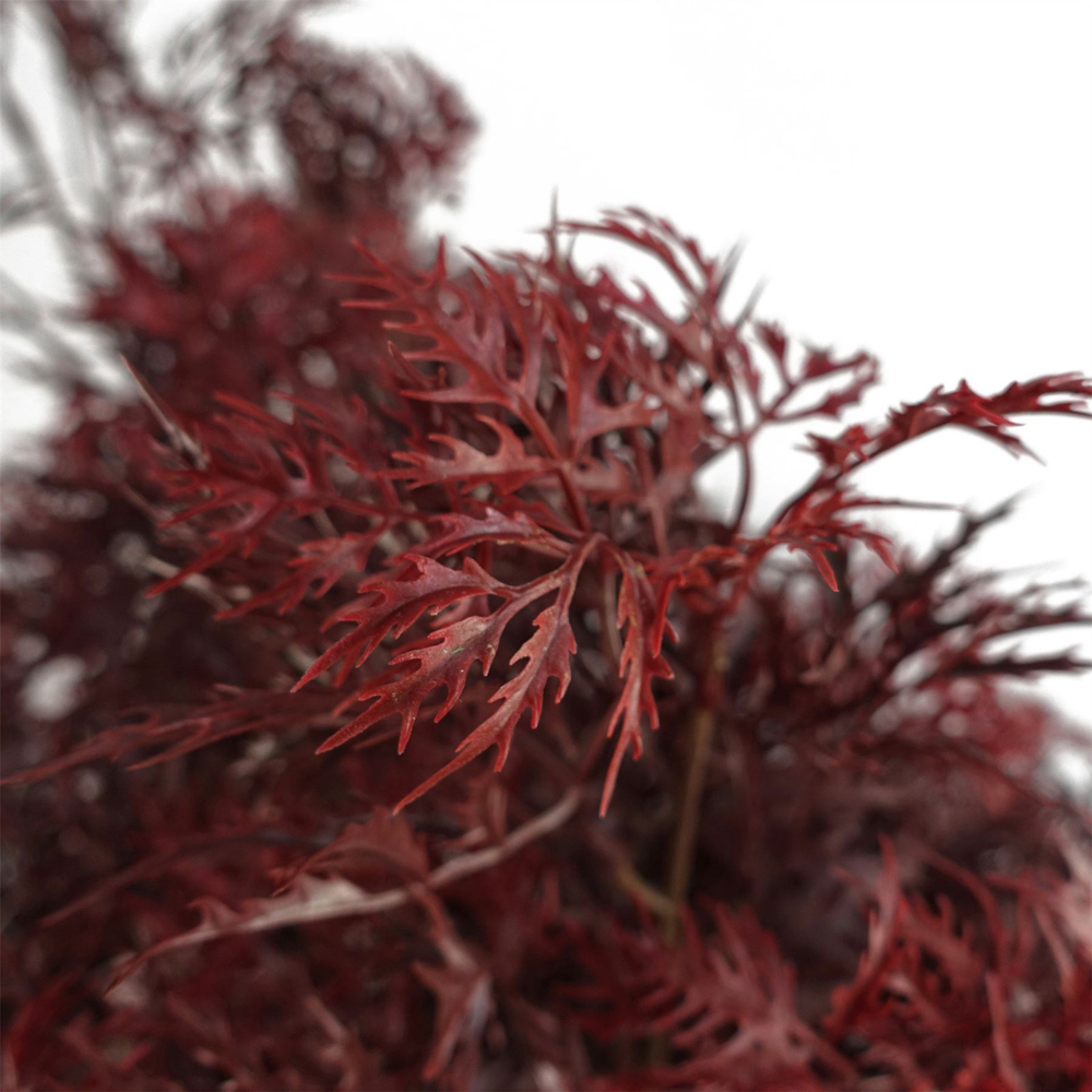 Botanik Red Aralia Artificial Tree in Pot 4ft Image 3