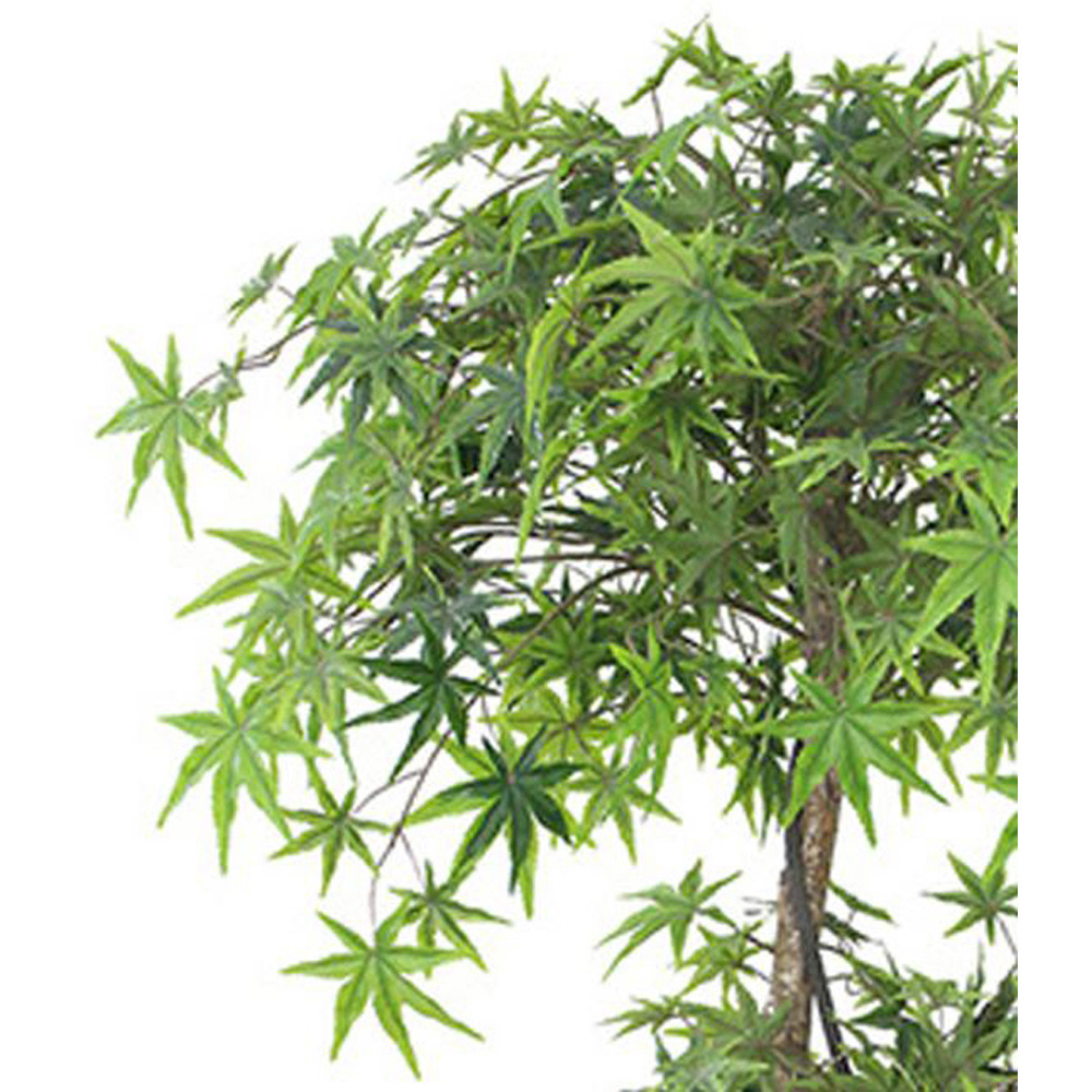 Leaf Artificial Japanese Maple Tree Pot 150cm Image 4
