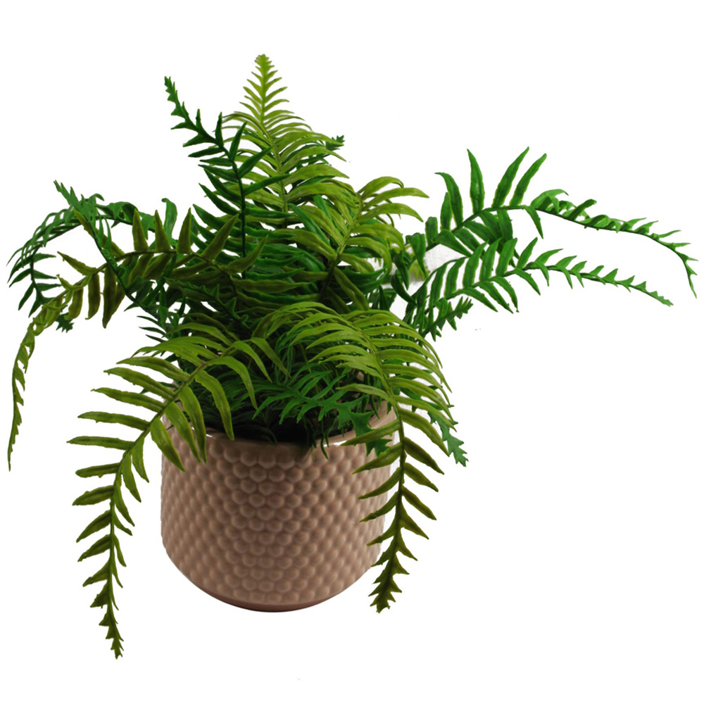 Botanik Pink Dots Ceramic Planter 12.5 x 15cm Image 4