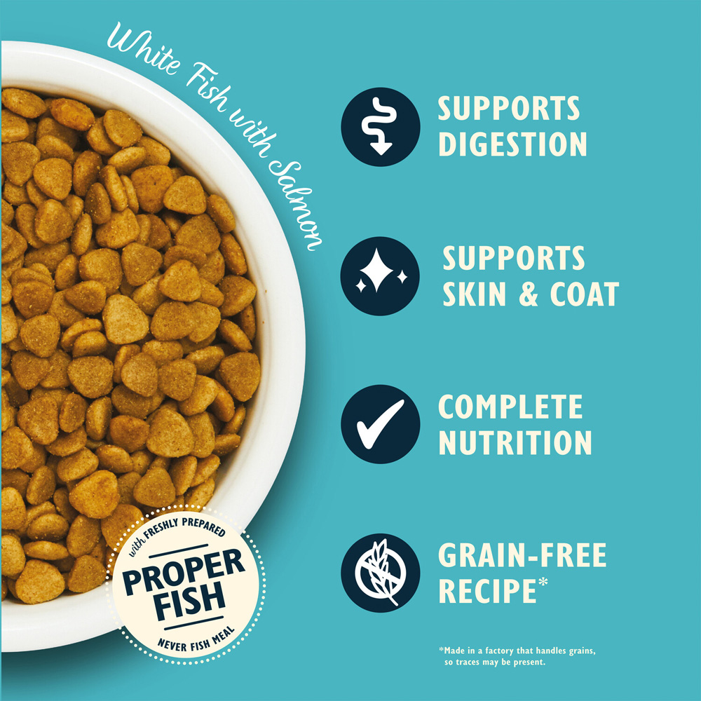 Lily's Kitchen Dry Cat Food White Fish with Salmon Image 2