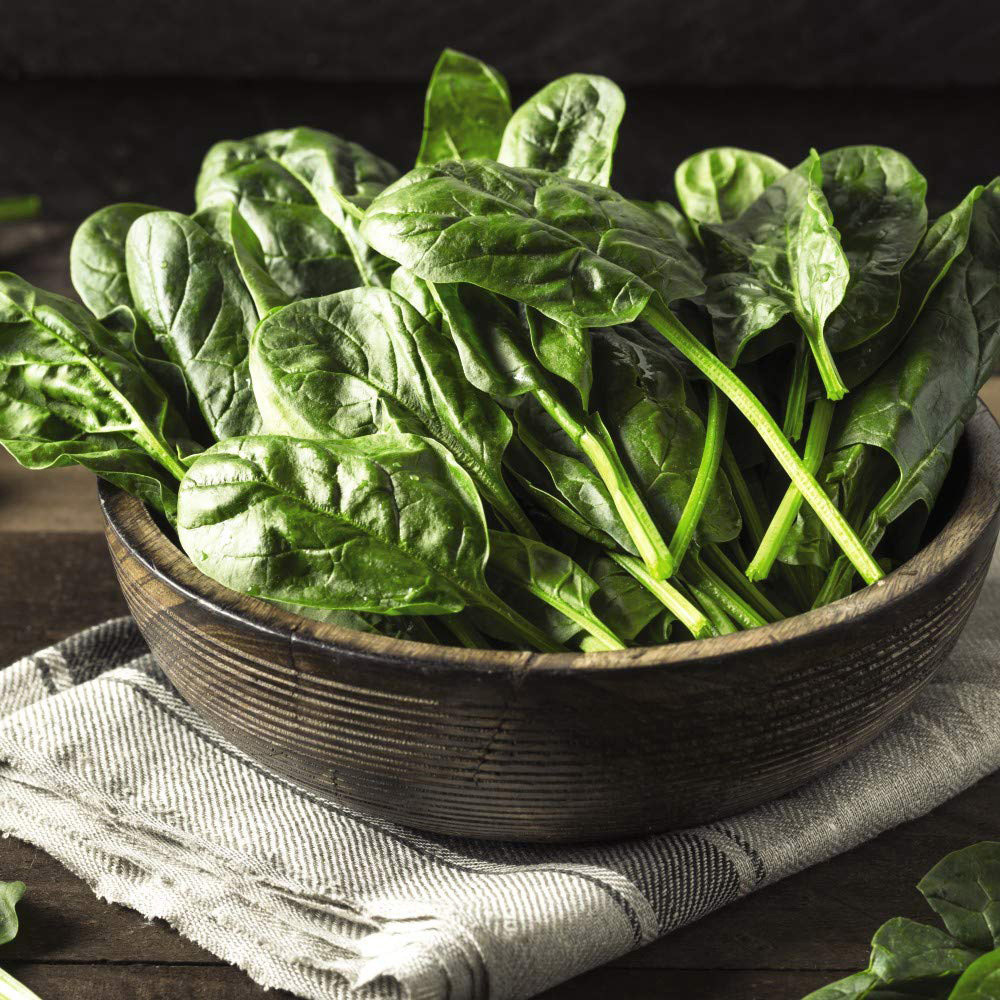 Thompson & Morgan Spinach Monnopa Seeds Image 2