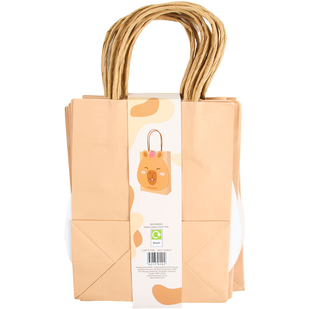 Pack of 10 Capybara Party Bags Brown Image 5