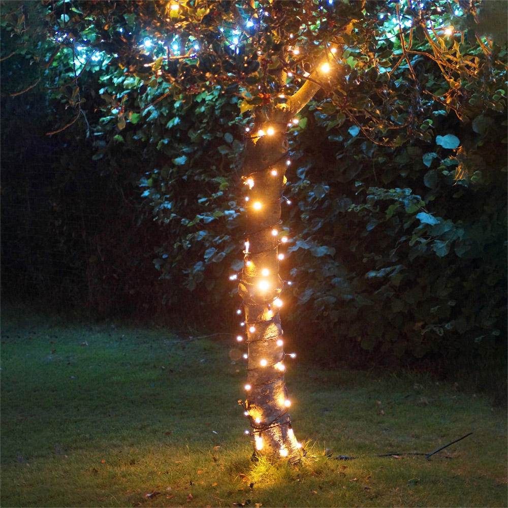 Eagle Connect Gold LED Black String Light 100m Image 1