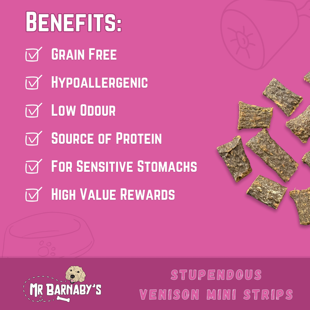 Mr Barnaby's Stupendous Venison Mini Strips Dog Treats 6 Pack Image 4
