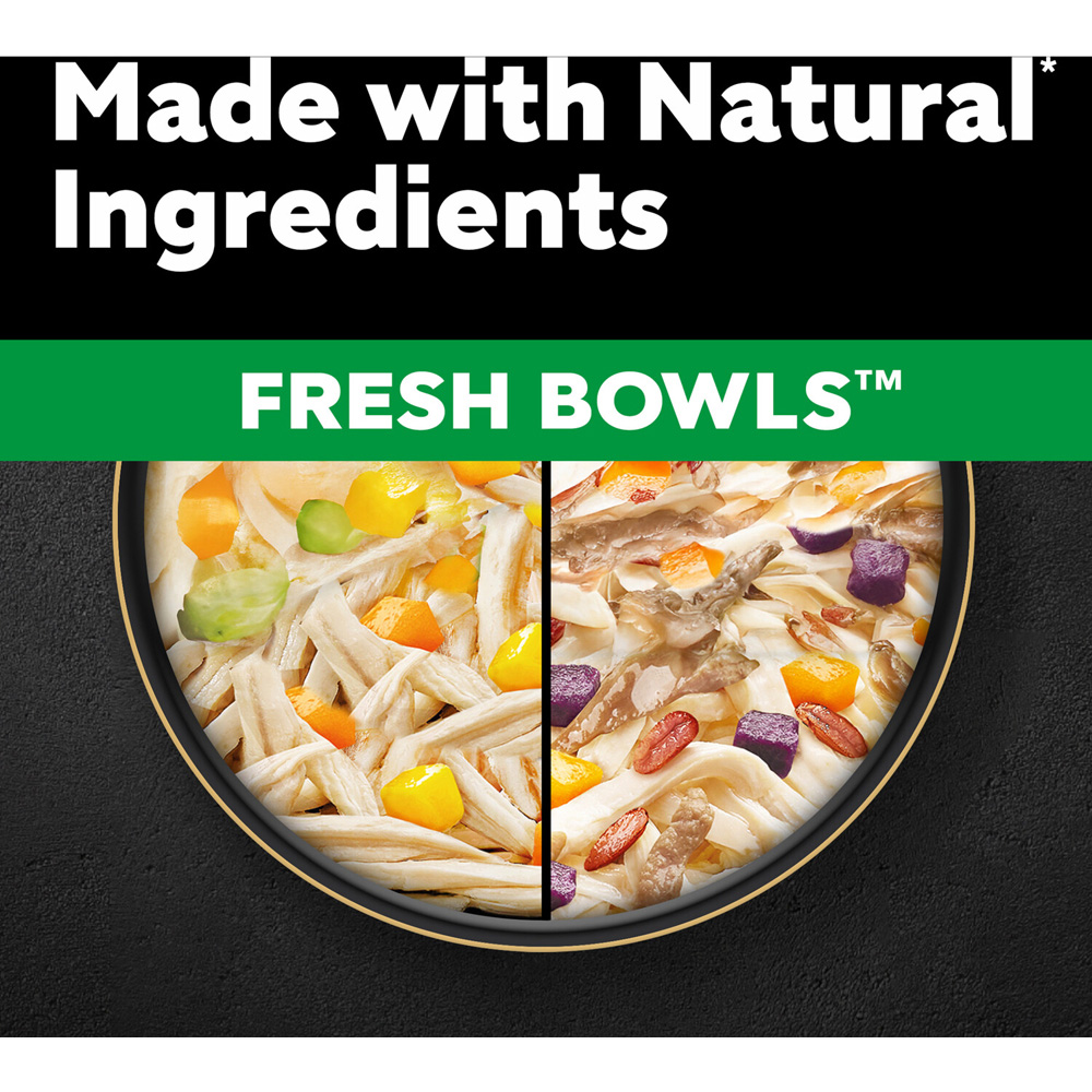 Pack of 6 Cesar Fresh Bowls Image 4