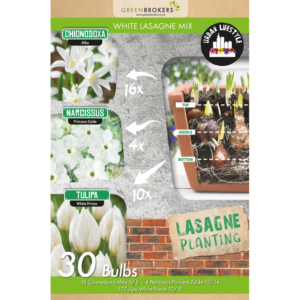 GreenBrokers White Lasagne Bee Friendly Mixed Planting Spring Bulb 30 Pack Image 2