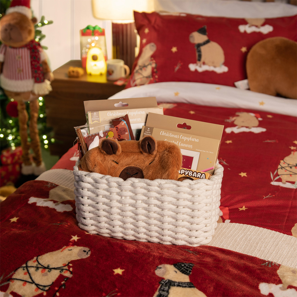 Capybara Stationery Set Image 2