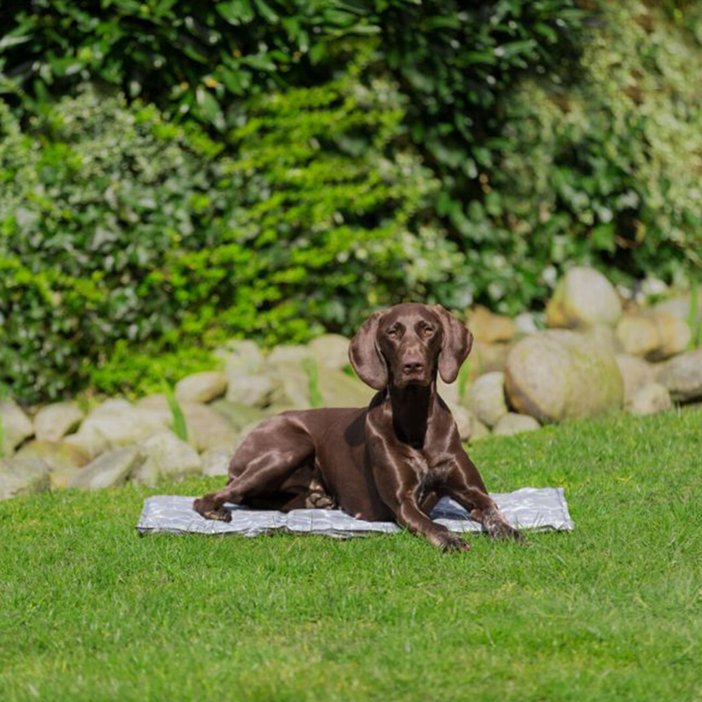 Trixie XX Large Grey Soft Cooling Mat Image 7