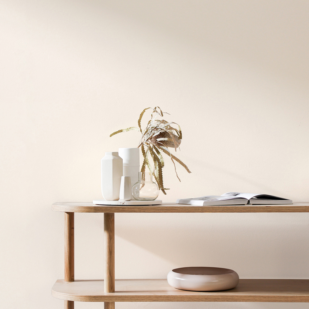 Craig & Rose 1829 Vintage Walls and Ceilings Chinese White Chalky Matt Emulsion Paint 2.5L Image 4