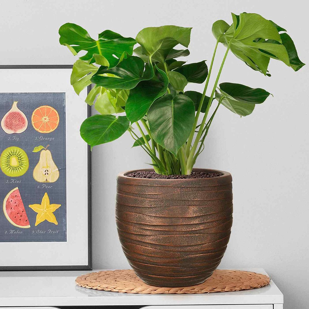 wilko Row Style Bronze Indoor Plant Pot 25.5cm Image 3