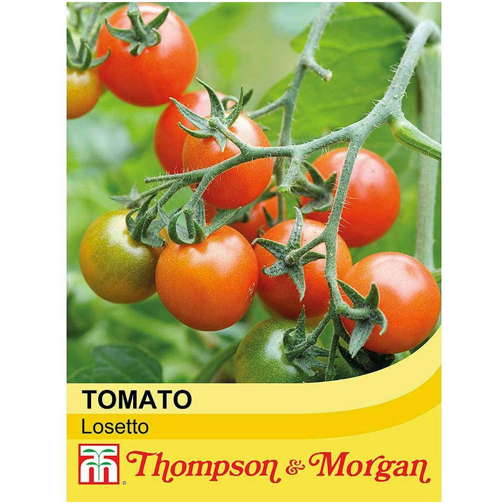 Thompson & Morgan Tomato Losetto F1 Hybrid Seeds Image 1
