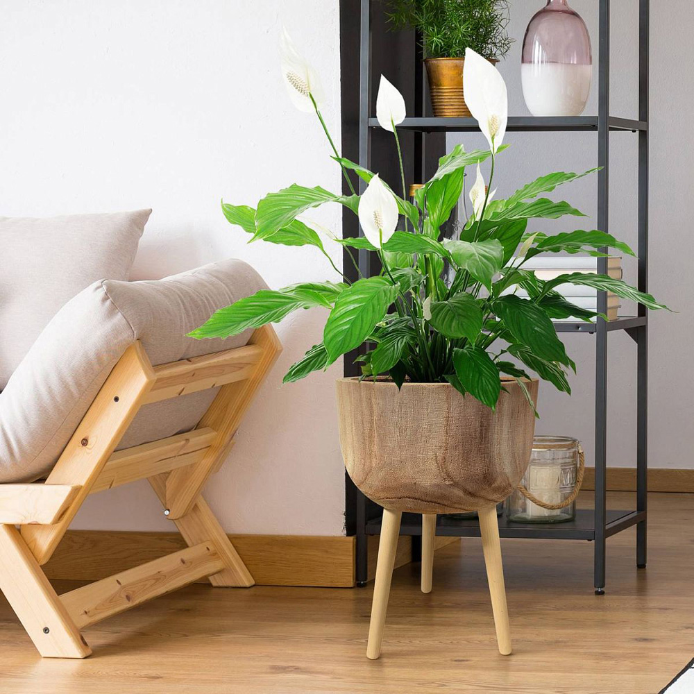 LECHUZA Hortico Gaia Wooden Round Indoor Plant Pot 43 x 29cm 2 Pack Image 5
