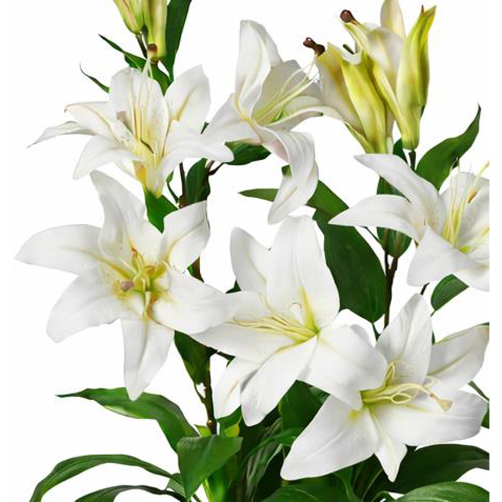 Leaf White Stargazer Lilly Artificial Plant in Plastic Pot 3ft Image 3