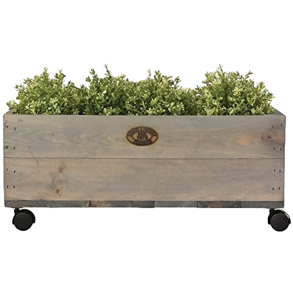 Fallen Fruits Medium Rolling Planter with Wheels Image