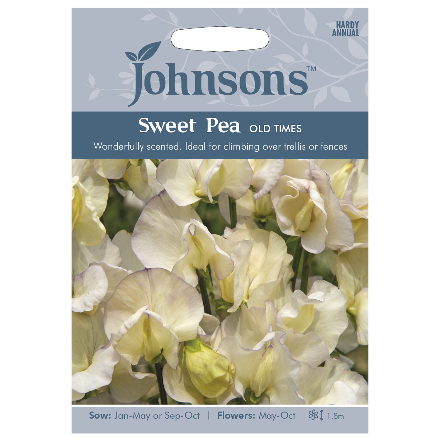 Pack of Old Times Sweet Pea Flower Seeds Image