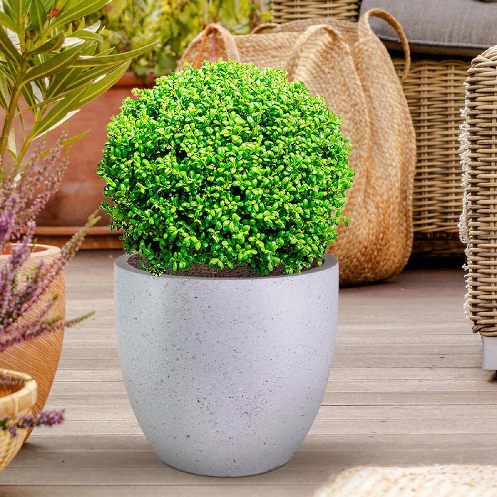 wilko Grey Marble Light Concrete Fibrestone Egg Outdoor Plant Pot 32cm Image 3