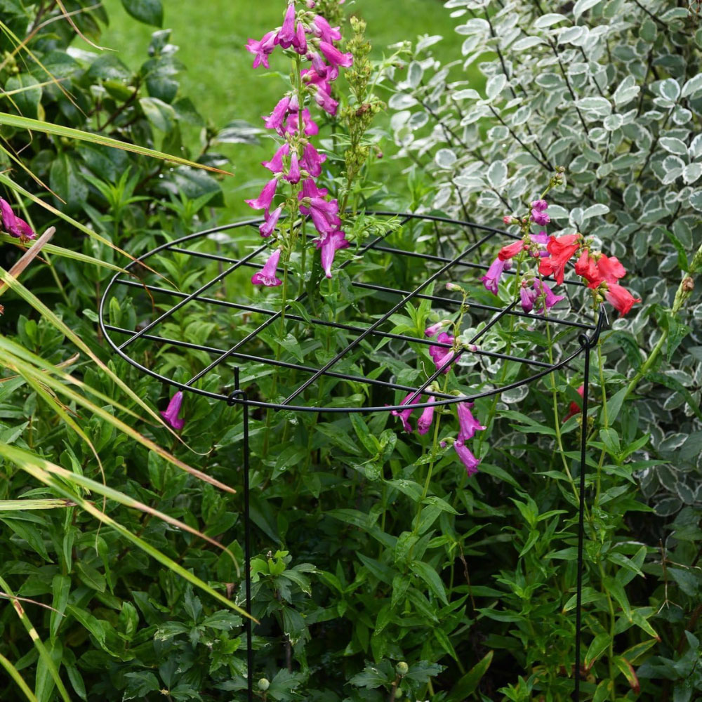 Garden Gear Large Round Grow Through Grid Support 76 x 50 x 50cm 3 Pack Image 5