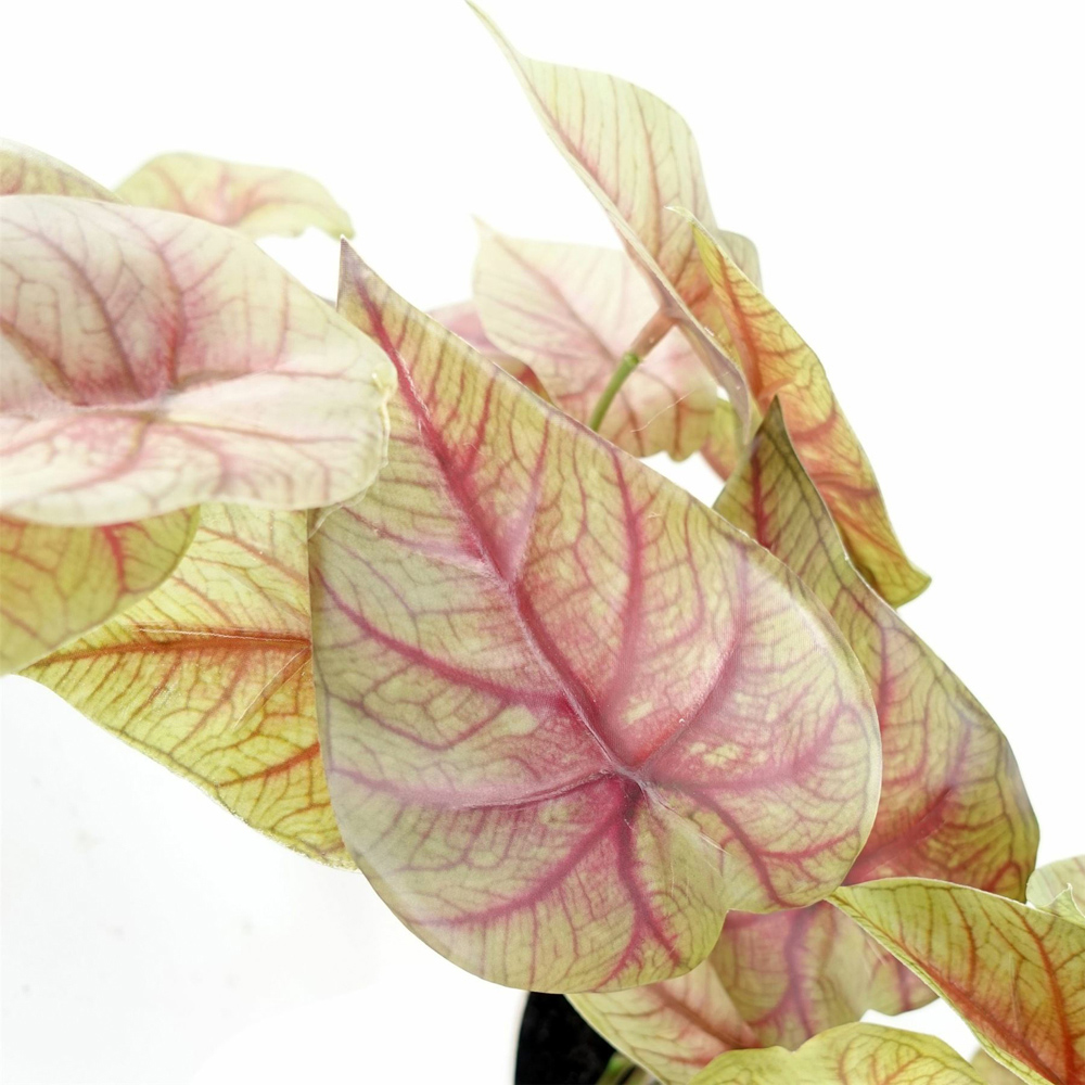 Botanik Pink Trailing Caladium Artificial Plant in Pot 30cm Image 4