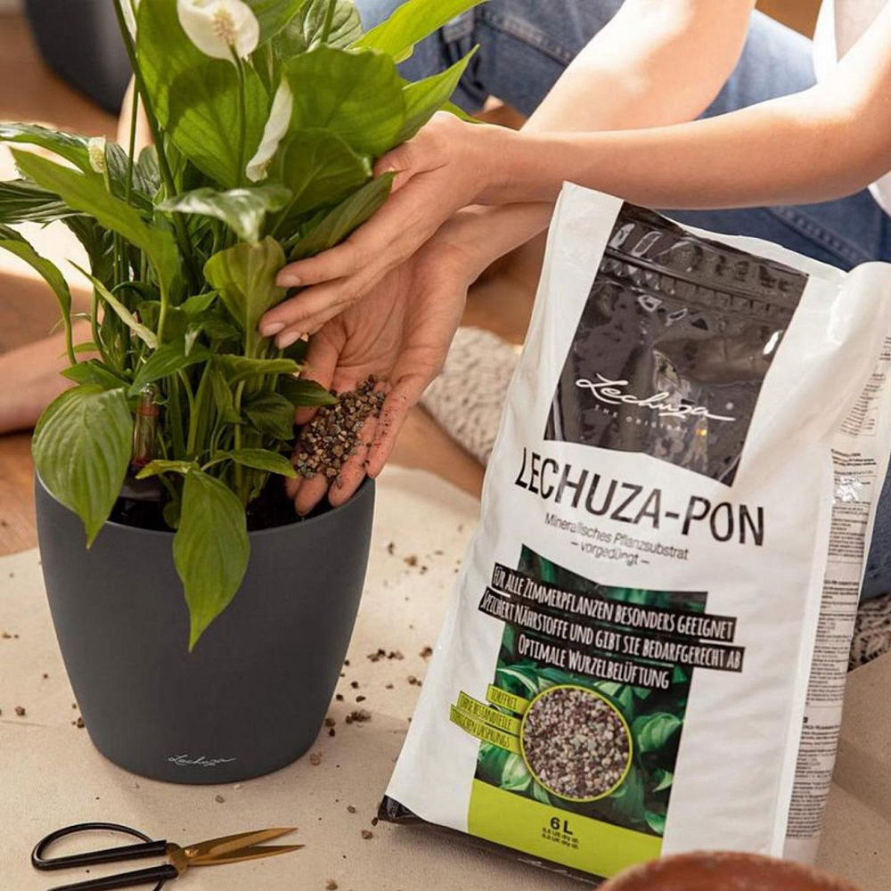Lechuza Pon Peat Free Indoor Plant Potting Mix 6L 4 Pack Image 2