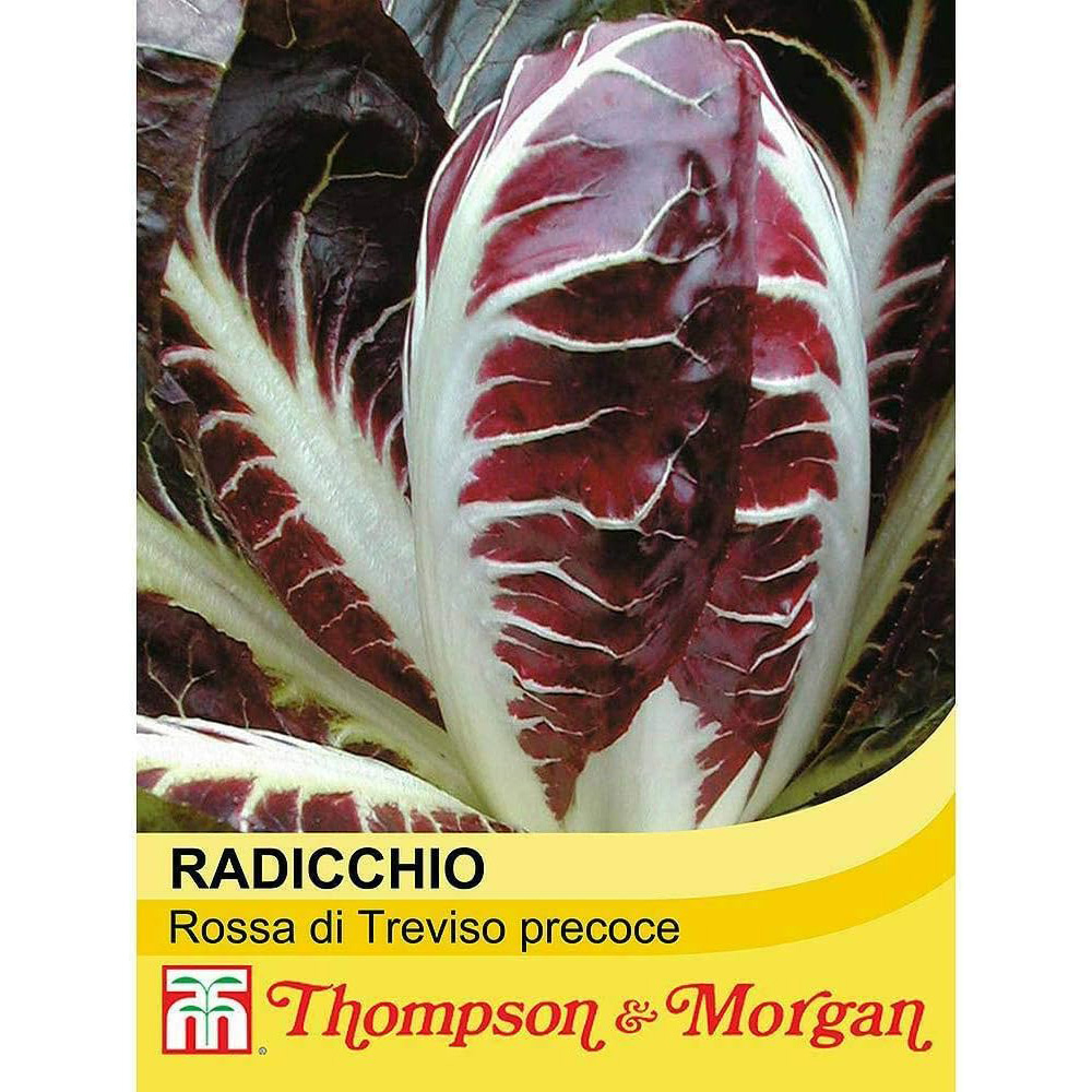 Thompson & Morgan Radicchio Rossa Di Treviso Precoce 300 Seeds Packet Image 2
