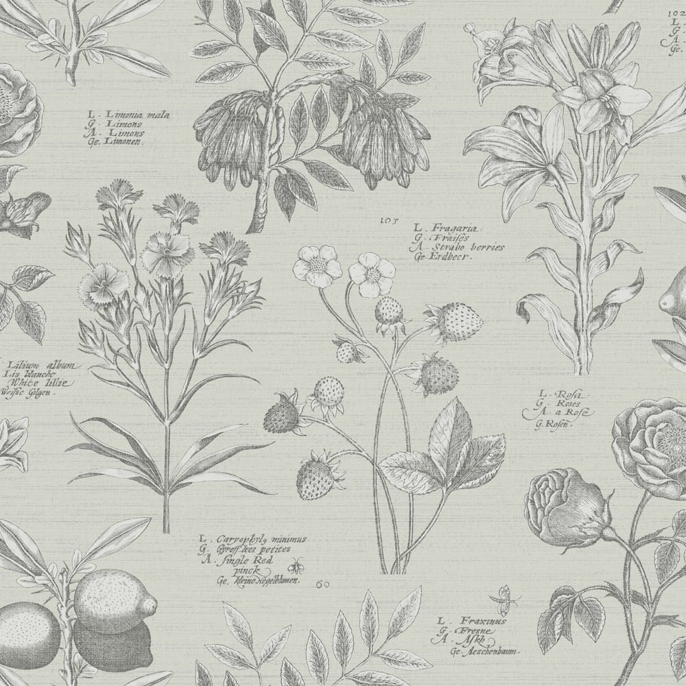 RHS Botanical Sketchbook Cream Wallpaper Image 1
