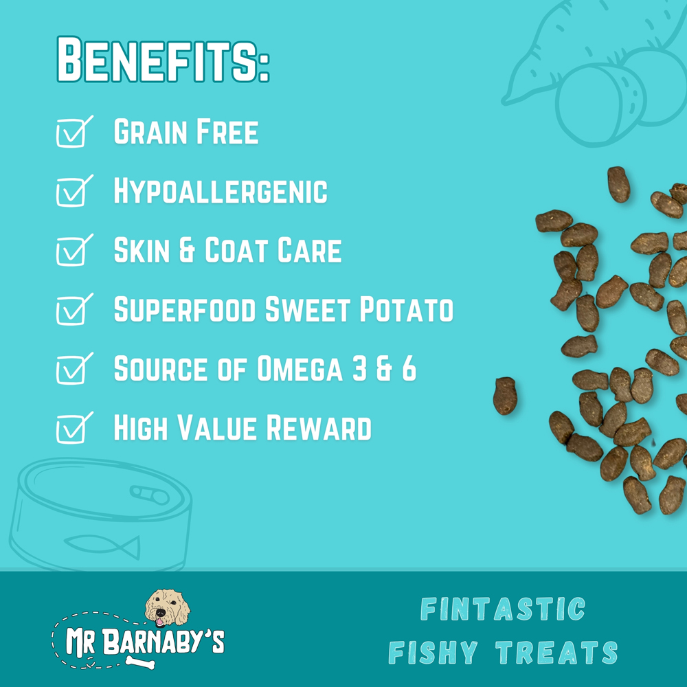 Mr Barnaby's Fintastic Fishy Grain-Free Hypoallergenic Dog Treats 100g 2 Pack Image 4