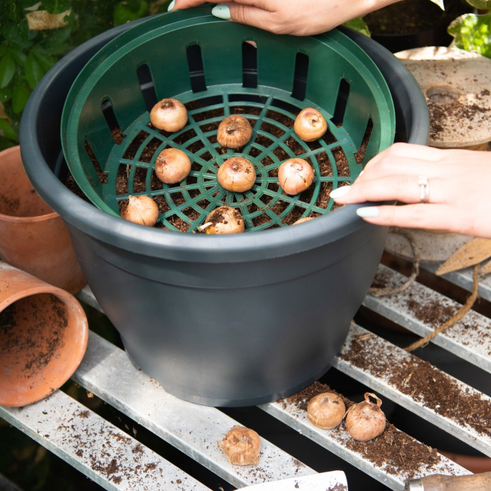 Garden Gear Plastic Bulb Planting Basket 15 Pack Image 3