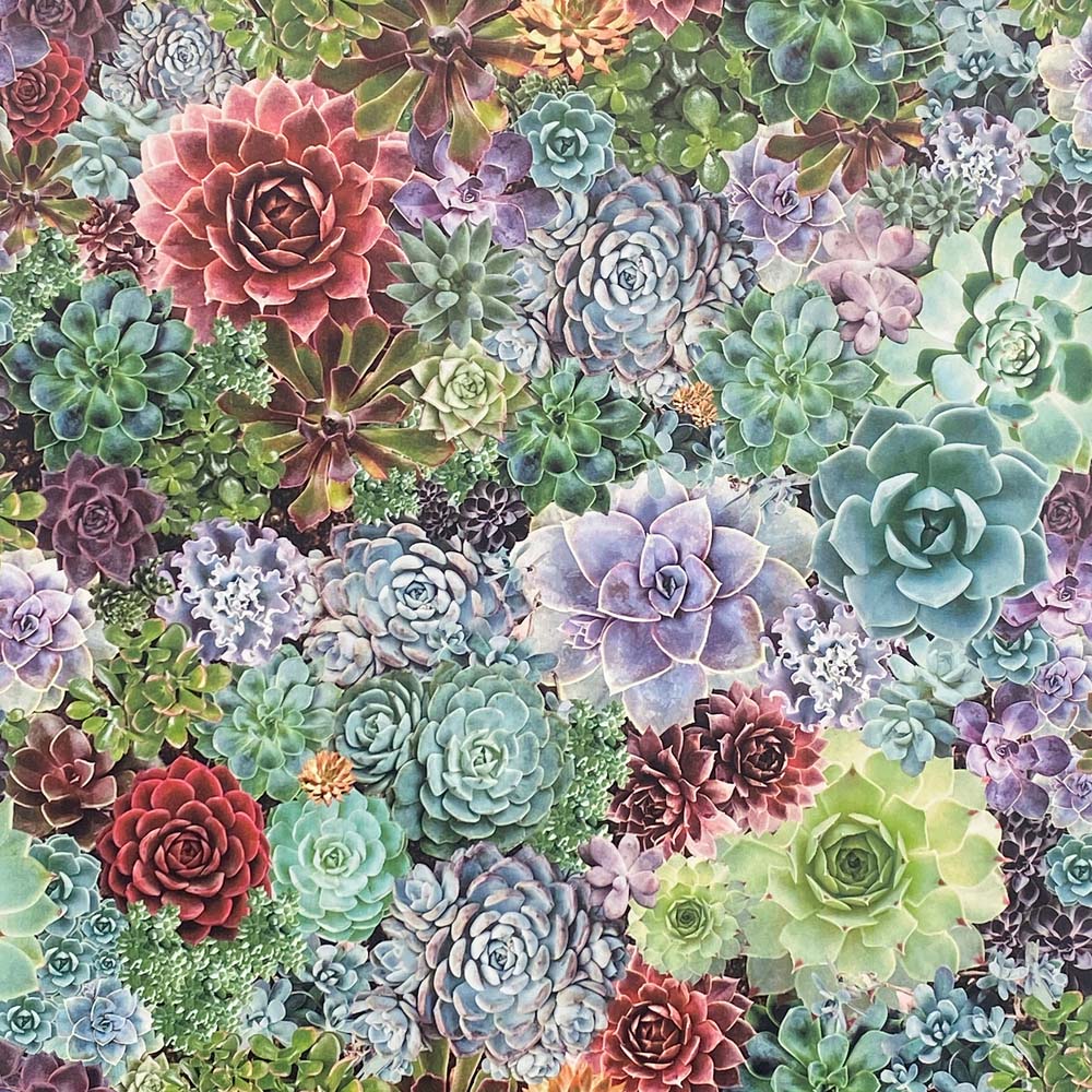Arthouse Living Wall Succulent Wallpaper Image 1