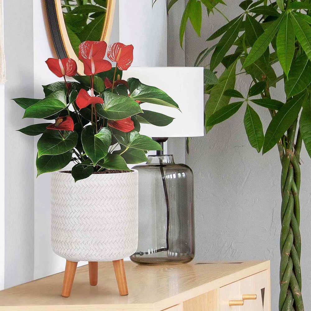 wilko Plaited Style White Indoor Cylinder Plant Pot with Legs 35cm Image 5
