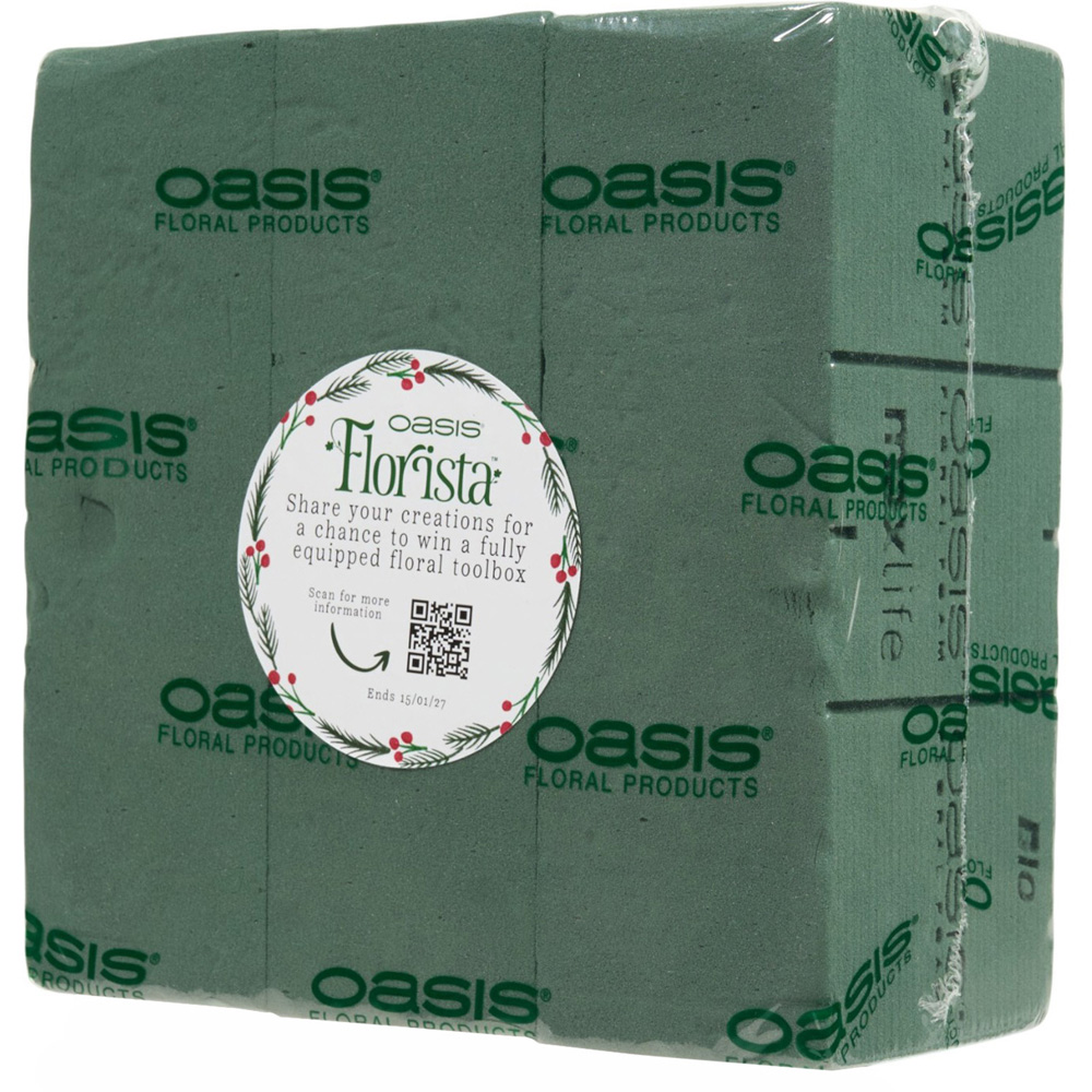 Pack of 3 Oasis Bio Wet Foam Bricks Green Image 1
