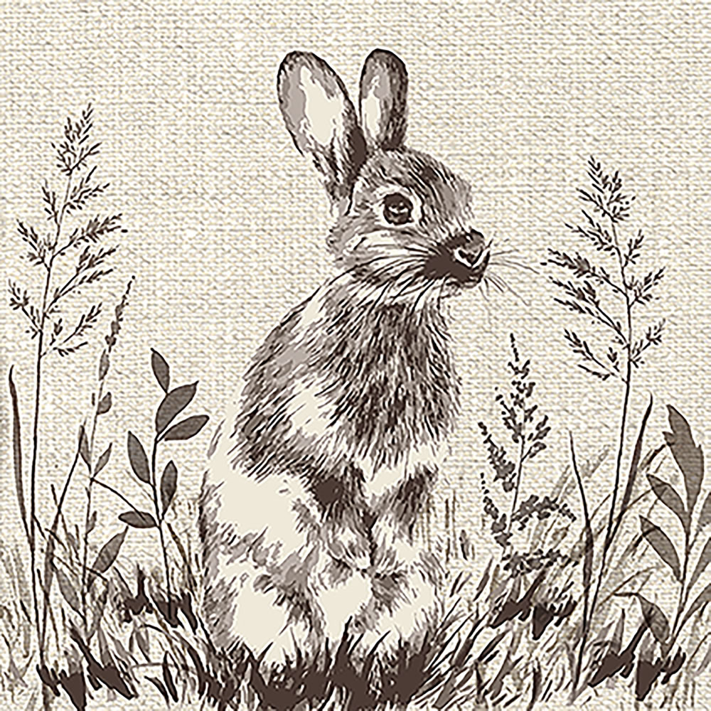 Wilko Bunny Canvas Image