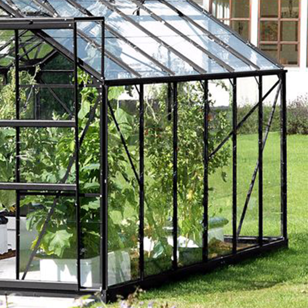 Vitavia Jupiter 9900 Black Frame Tough Glass 8 x 12ft Greenhouse Image 4