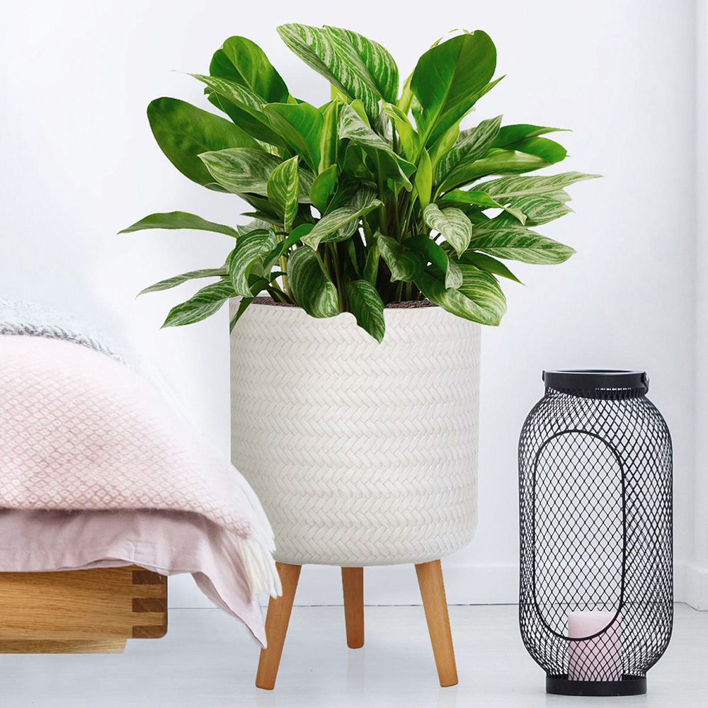 wilko Plaited Style White Indoor Cylinder Plant Pot with Legs 46cm Image 3