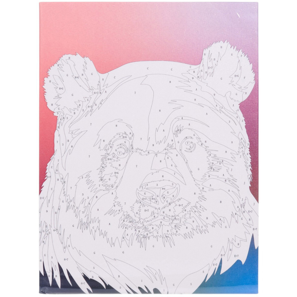 Lion or Panda Clay By Number Canvas Kit Image 7