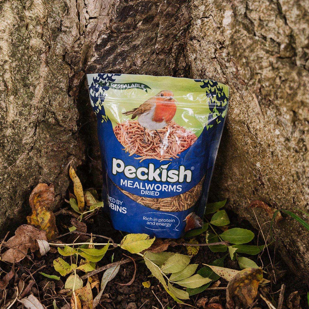 Peckish Natural High Protein Dried Mealworms Wild Bird Food 1kg Image 2